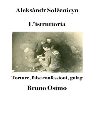 cover image of L'istruttoria